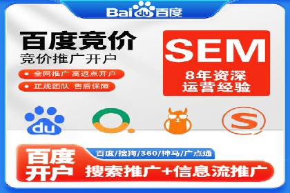 某电商平台的SEM推广策略分析